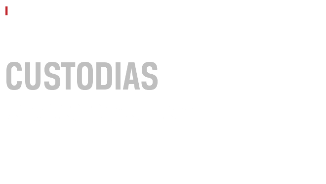 I ESTO ES INTELEGACY SEGURIDAD EN CUSTODIAS Conoce un modelo de seguridad estratégico y efectivo, adecuado a tus necesidades.